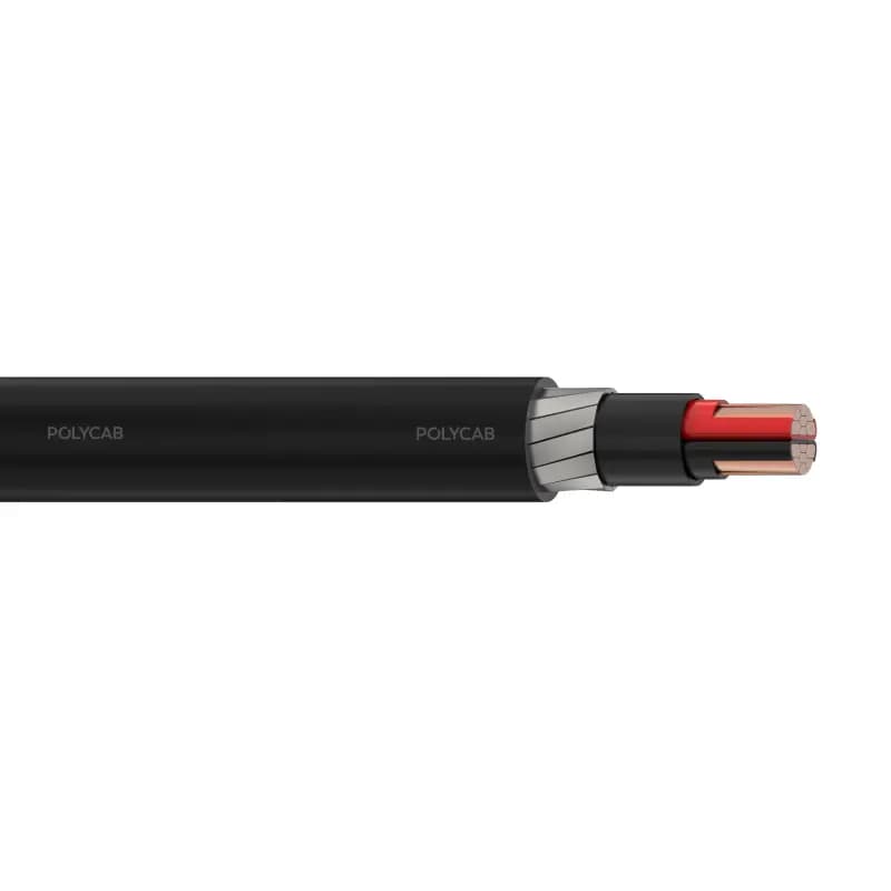 Polycab LV IS-7098-I 2C 2XFY