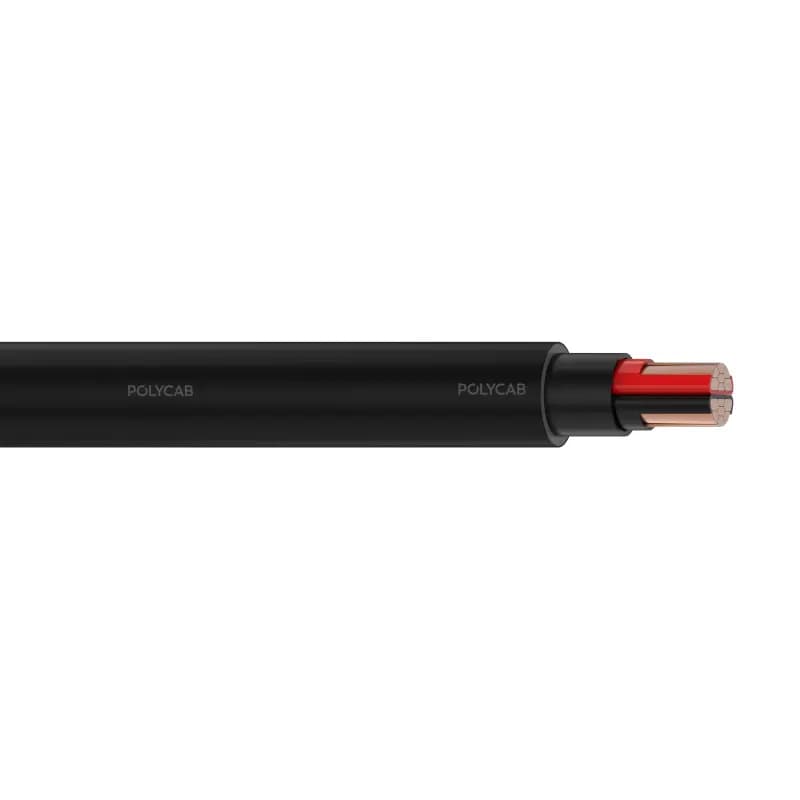 Polycab LV IS-7098-I 2C-2XY